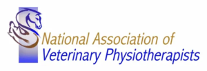 National association of veterinary physiotherapists member